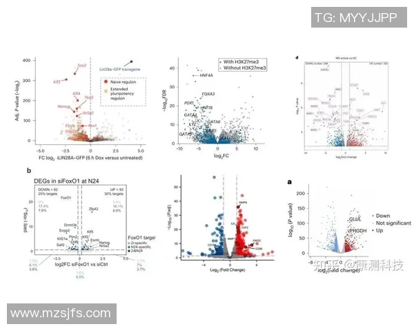 弗鲁米与戈亚斯14年对决数据分析揭示两队实力差异与发展轨迹 弗鲁米与戈亚斯14年对决数据分析揭示两队实力差异与发展轨迹